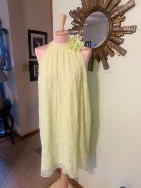 Cato Light Lime Green Floral Lace Midi Dress with Halter & Flower Accent